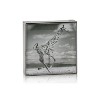 Chantecaille Luminescent Eye Shade - # Giraffe (Burnished Brown)