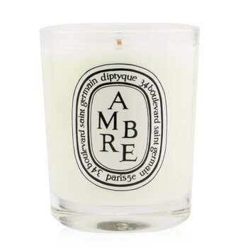 Diptyque 香りのキャンドル-琥珀色（琥珀色） (Scented Candle - Ambre (Amber))