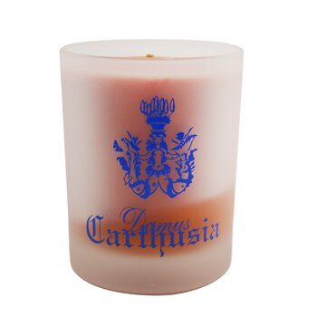 Scented Candle - Corallium