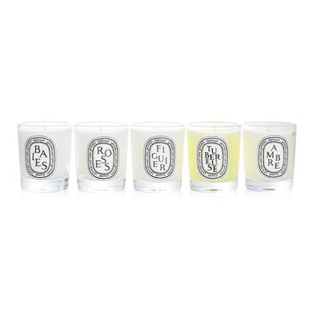 Diptyque Scented Candles Set - Berries, Roses, Fig Tree, Tuberose, Amber
