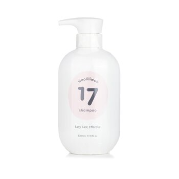 17 Shampoo