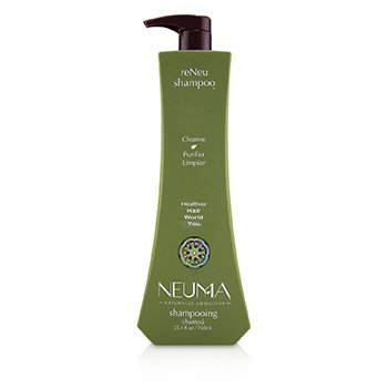 reNeu Shampoo