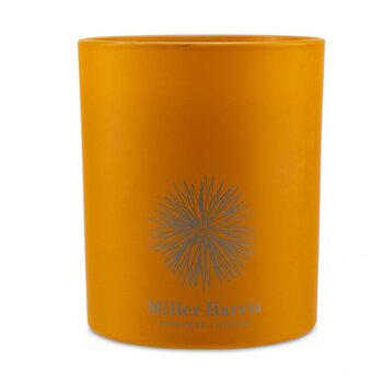 Candle - Tangerine Vert